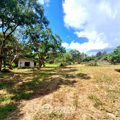 ที่ดิน เชียงใหม่ : ที่ดินสำหรับปล่อยขาย 16,936 ตารางเมตร แถว ใน หนองหาน (ID 2640346)