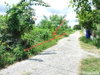listing thumbnail image 11