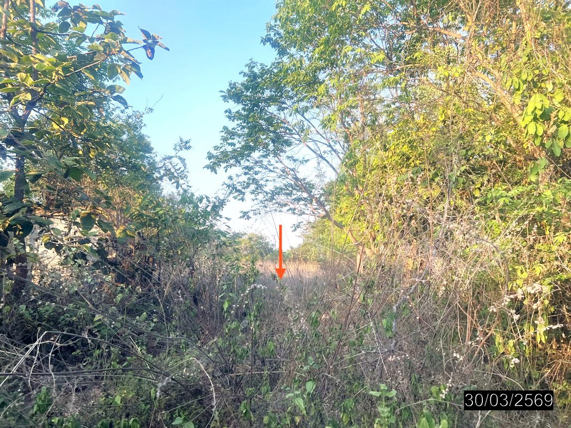 รูป ที่ดินว่างเปล่า 800 ตร.วา วารินชำราบ อุบลราชธานี 12.8M - รูปที่ 10/14