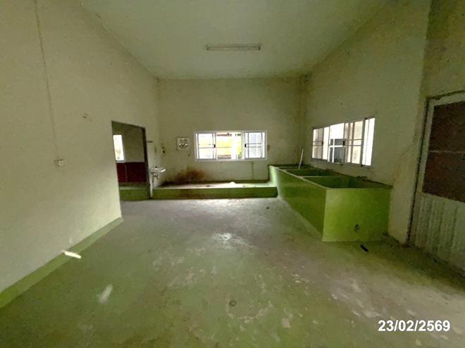 รูป บ้านเดี่ยว 493 ตร.วา ปักธงชัย นครราชสีมา 4.3M - รูปที่ 13/60