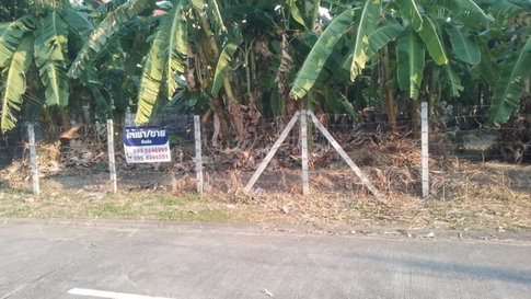 Beautiful plot of land for sale, 188 sq.wa., next to the BTS Skytrain, just a 5-minute walk