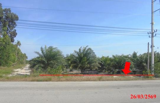 picture LAND 4183 Sq.w. Muang Narathiwat Narathiwat for 5M - 19/22