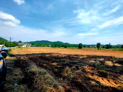 ที่ดิน ตลาดนัด เเยกเจ : Land for Sale in Bang Sare Sattahip