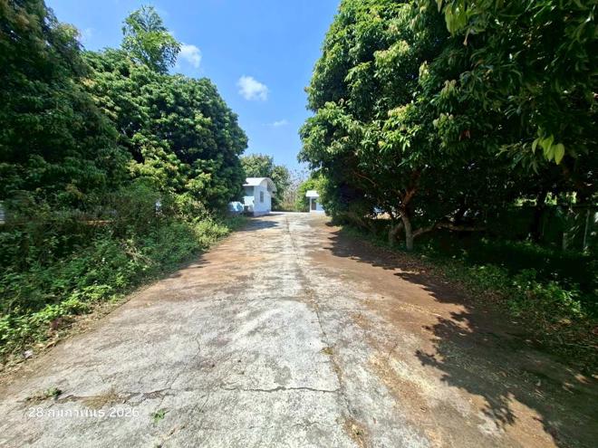 รูป บ้านเดี่ยว 1093 ตร.วา ฝาง เชียงใหม่ 3.8M - รูปที่ 22/50