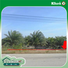 listing thumbnail image 19