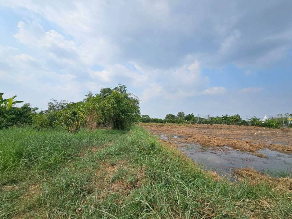 รูป ขายที่ดิน คลองสี่ อ.คลองหลวง เนื้อที่รวม 21 ไร่ 147 ตร.ว. ราคาถูก - รูปที่ 7/11