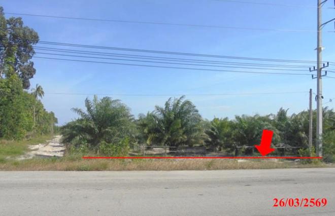 picture LAND 4183 Sq.w. Muang Narathiwat Narathiwat for 5M - 1/22