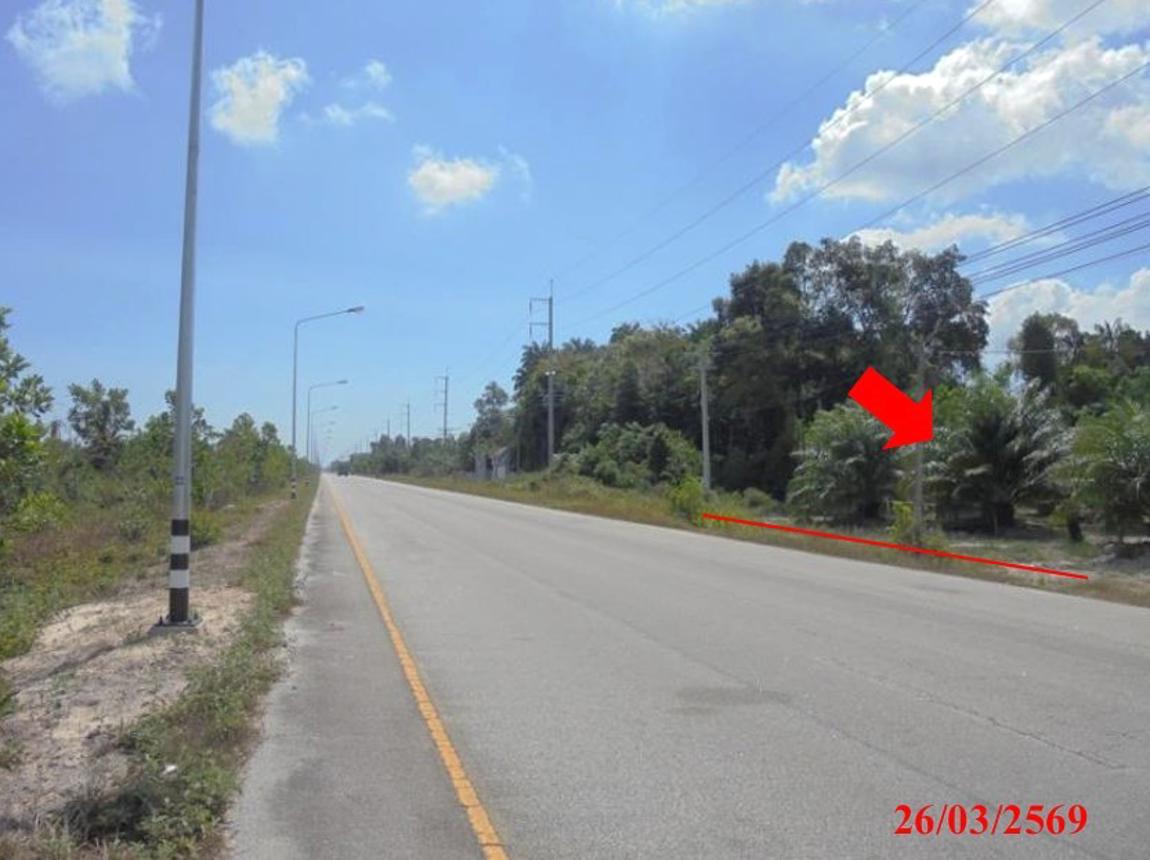 picture LAND 4183 Sq.w. Muang Narathiwat Narathiwat for 5M - 11/22