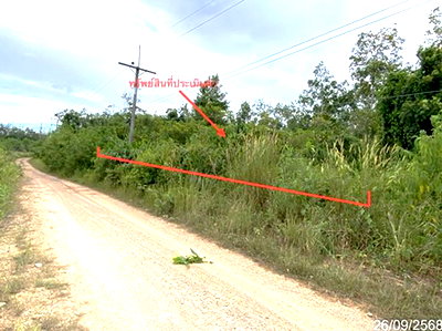 ที่ดิน สงขลา : ที่ดินว่างเปล่า 152.6 ตร.วา หาดใหญ่ สงขลา 916,000