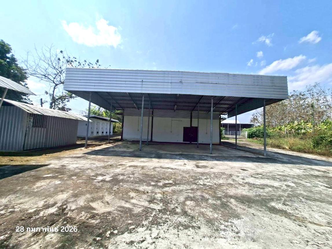รูป บ้านเดี่ยว 1093 ตร.วา ฝาง เชียงใหม่ 3.8M - รูปที่ 24/50