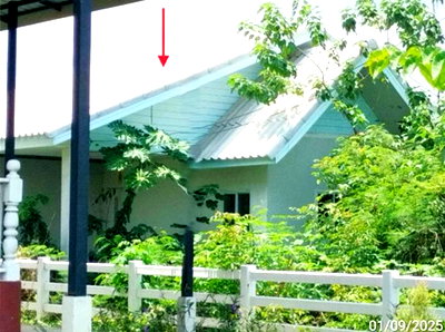 ขายบ้านเดี่ยว : บ้านเดี่ยว 95 ตร.วา วังม่วง สระบุรี 1.4M