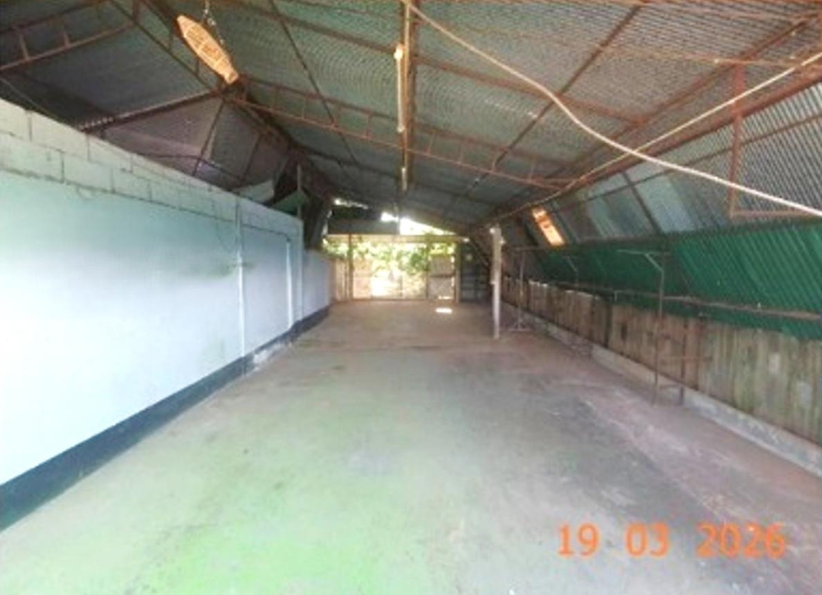 รูป บ้านเดี่ยว 765 ตร.วา พร้าว เชียงใหม่ 2M - รูปที่ 50/56