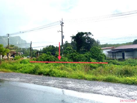 picture LAND 164 Sq.w. Khuan Khanun Phatthalung for 3M - 11/14