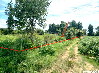 Land for sale Maha Sarakham : LAND 1078 Sq.w. Na Chuak Maha Sarakham for 755,000