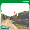 listing thumbnail image 13