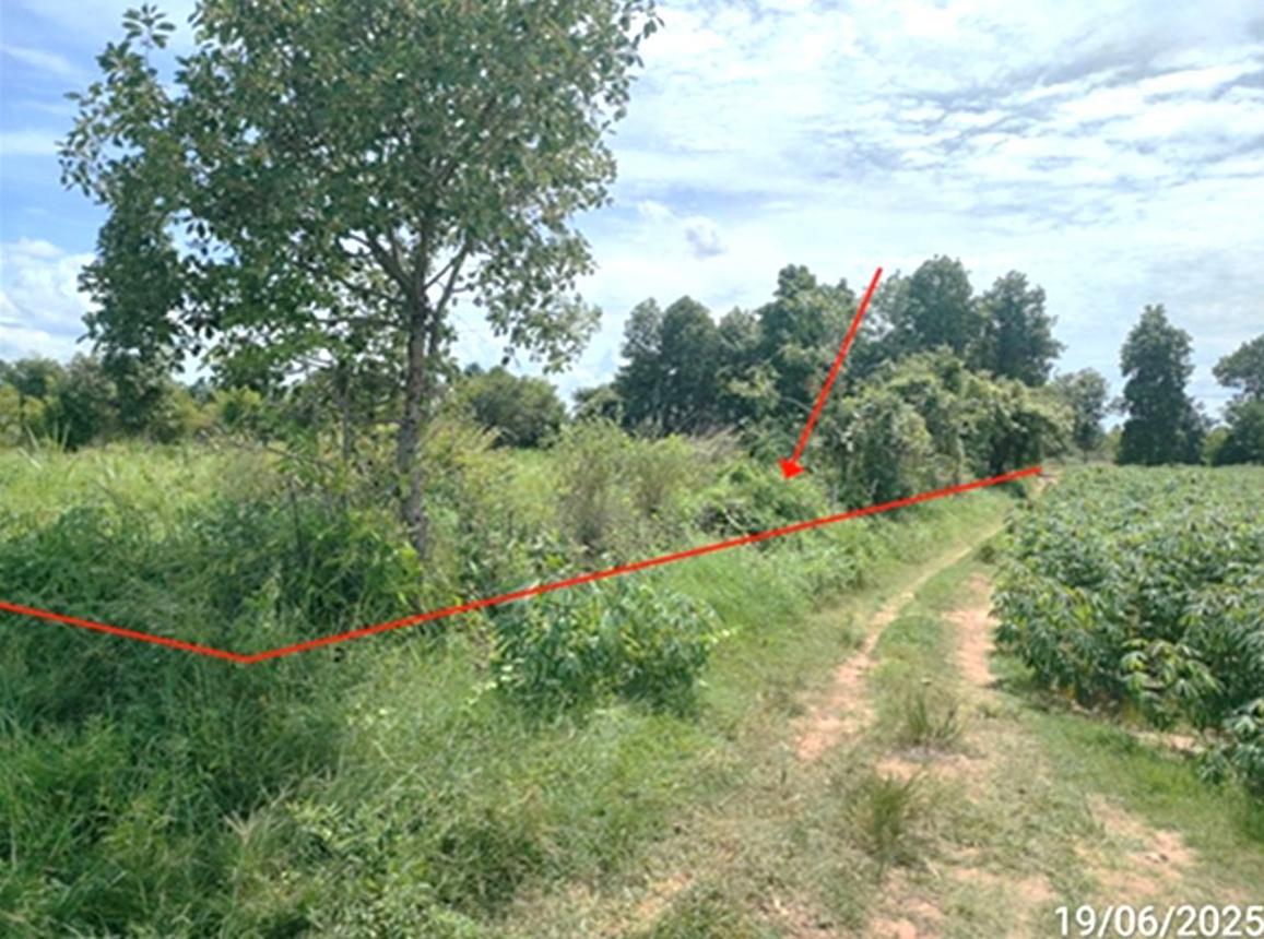 รูป ที่ดินว่างเปล่า 1078 ตร.วา นาเชือก มหาสารคาม 755,000 - รูปที่ 6/14