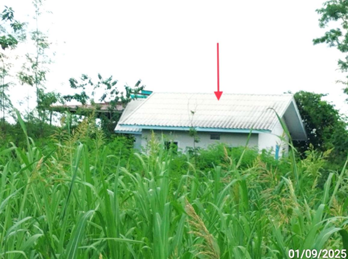 รูป บ้านเดี่ยว 95 ตร.วา วังม่วง สระบุรี 1.4M - รูปที่ 9/16