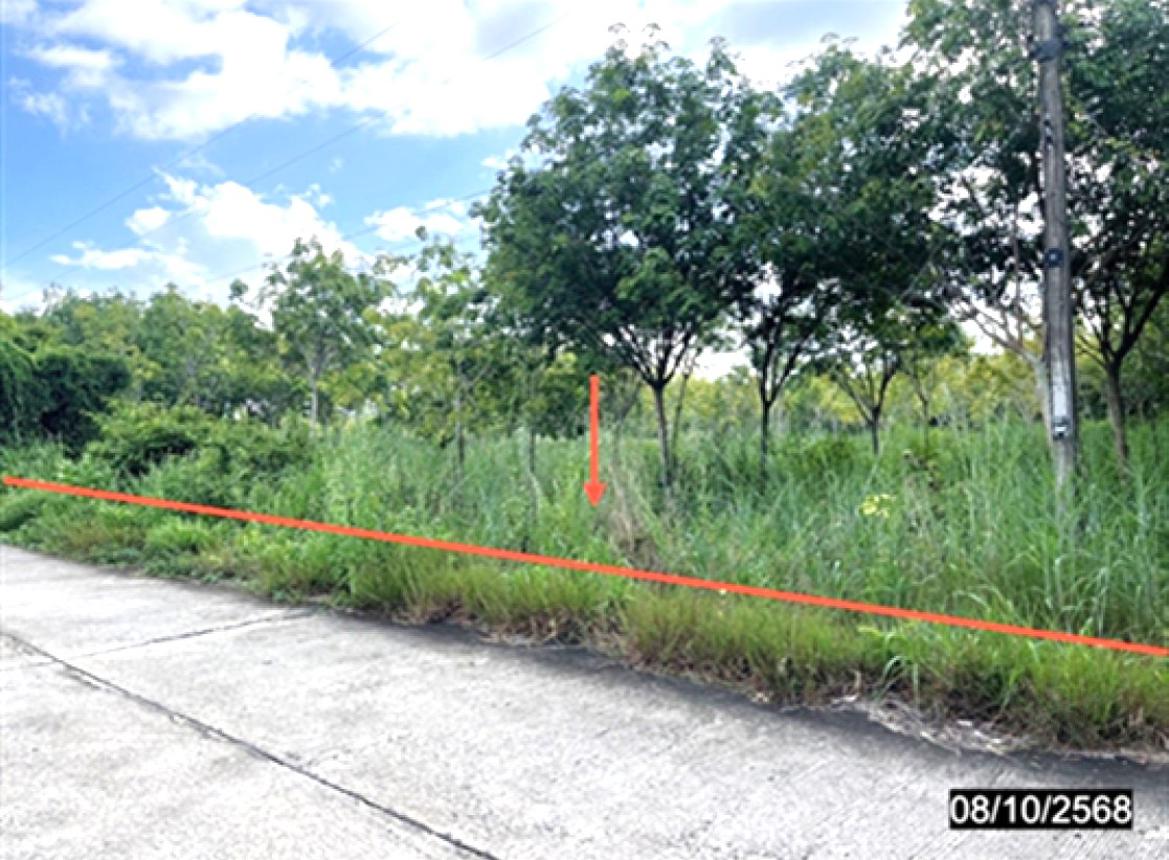 รูป ที่ดินว่างเปล่า 602 ตร.วา เสลภูมิ ร้อยเอ็ด 452,000 - รูปที่ 7/12