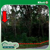 listing thumbnail image 11
