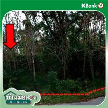 picture LAND 1467.4 Sq.w. Khok Pho Pattani for 1M - 12/14