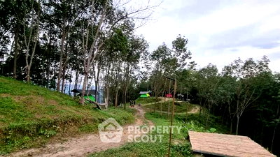 ที่ดิน บ้านนาสาร สุราษฎร์ธานี : ที่ดินสำหรับปล่อยขาย 112,000 ตารางเมตร แถว ใน คลองปราบ (ID 2523121)