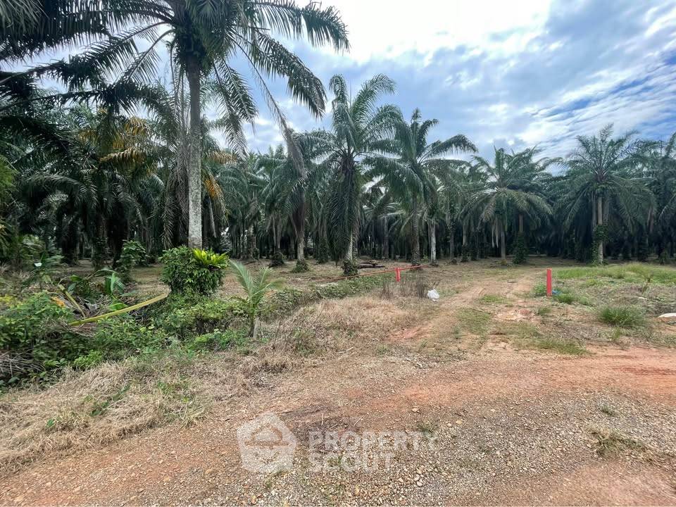 รูป ที่ดินสำหรับปล่อยขาย 50,792 ตารางเมตร แถว ใน บางกุ้ง (ID 2521921) - รูปที่ 14/16