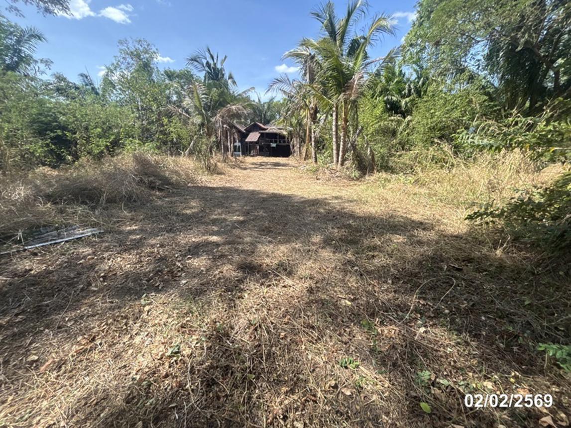 รูป บ้านเดี่ยว 460.9 ตร.วา เมืองอุบลราชธานี อุบลราชธานี 2.7M - รูปที่ 37/42