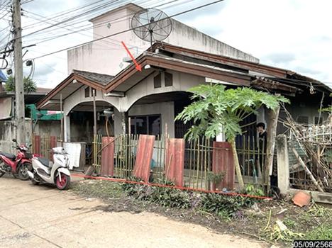 รูป บ้านเดี่ยว 62 ตร.วา ด่านขุนทด นครราชสีมา 529,000 - รูปที่ 9/12