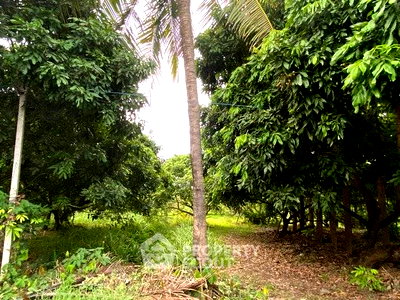 Land for sale Montfort College Primary Section : 6,220 m² Land for Sale close to Chiang Mai Old City (ID 2662246)
