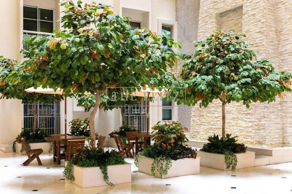 รูป ✨ ความเป็นส่วนตัวท่ามกลางย่าน CBD - Citi Smart สุขุมวิท 18 แวดล้อมด้วยร้านอาหารและคาเฟ่ชั้นนำ ตอบโจทย์ชีวิตคนเมือง ❤️ - รูปที่ 11/20