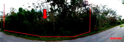 ที่ดิน โคกโพธิ์ ปัตตานี : ที่ดินว่างเปล่า 1467.4 ตร.วา โคกโพธิ์ ปัตตานี 748,000