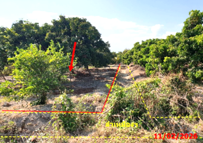 รูป ที่ดินว่างเปล่า 520 ตร.วา เวียงหนองล่อง ลำพูน 390,000 - รูปที่ 6/16
