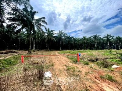 ที่ดิน บุญถาวร สุราษฎร์ธานี : ที่ดินสำหรับปล่อยขาย 50,792 ตารางเมตร แถว ใน บางกุ้ง (ID 2521921)