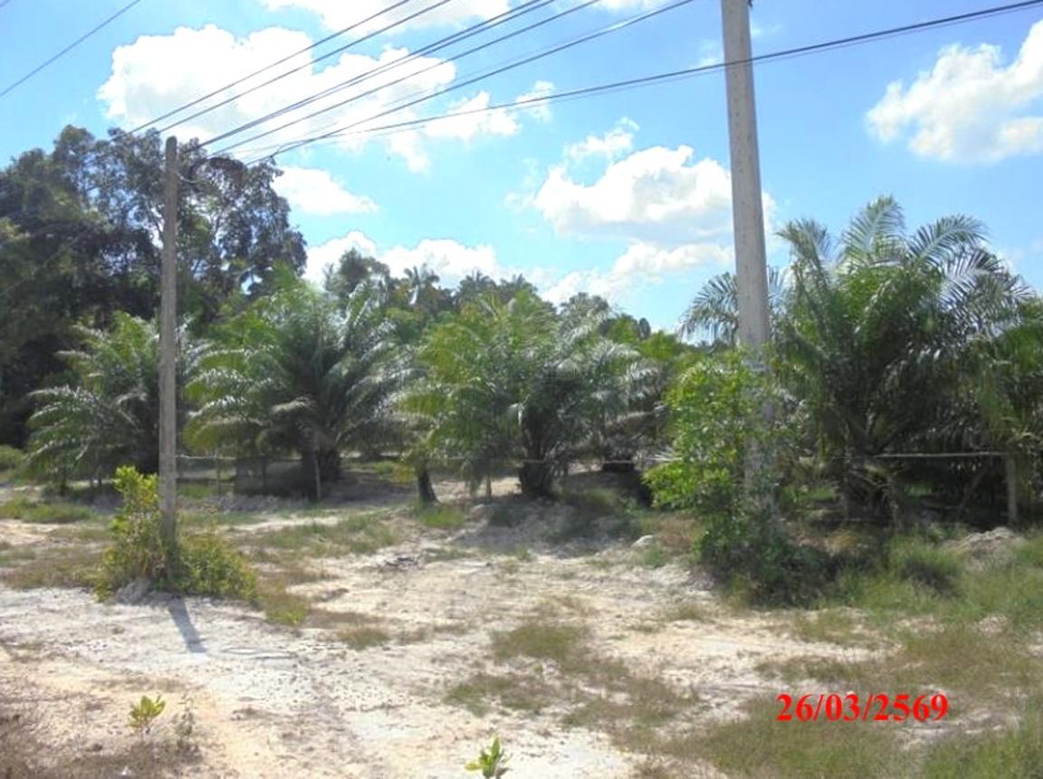 picture LAND 4183 Sq.w. Muang Narathiwat Narathiwat for 5M - 14/22