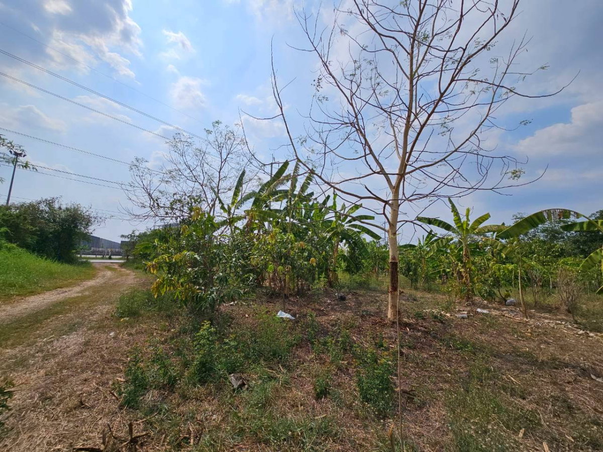 รูป ขายที่ดิน คลองสี่ อ.คลองหลวง เนื้อที่รวม 21 ไร่ 147 ตร.ว. ราคาถูก - รูปที่ 2/11