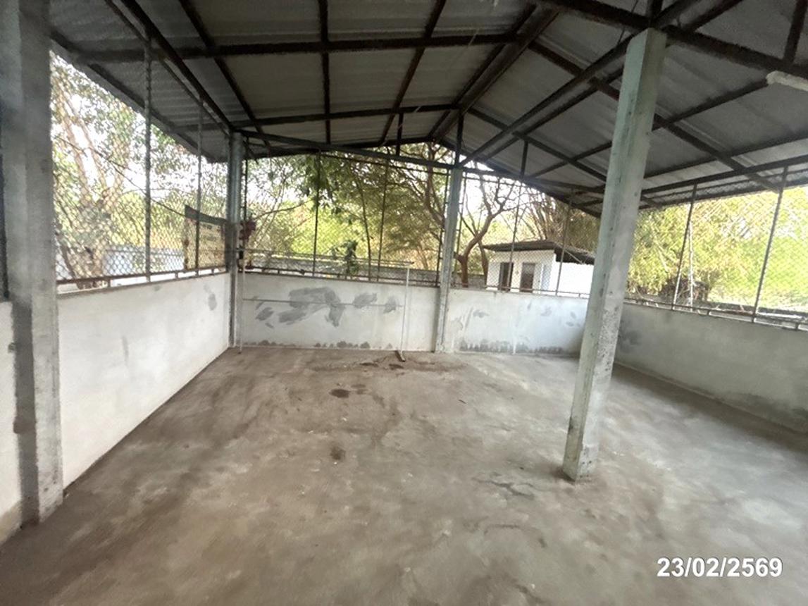 รูป บ้านเดี่ยว 493 ตร.วา ปักธงชัย นครราชสีมา 4.3M - รูปที่ 51/60