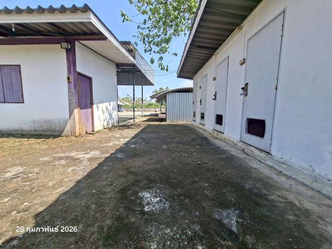 รูป บ้านเดี่ยว 1093 ตร.วา ฝาง เชียงใหม่ 3.8M - รูปที่ 19/50
