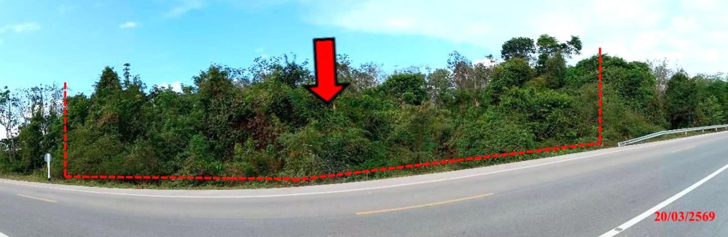 picture LAND 1467.4 Sq.w. Khok Pho Pattani for 1M - 7/14