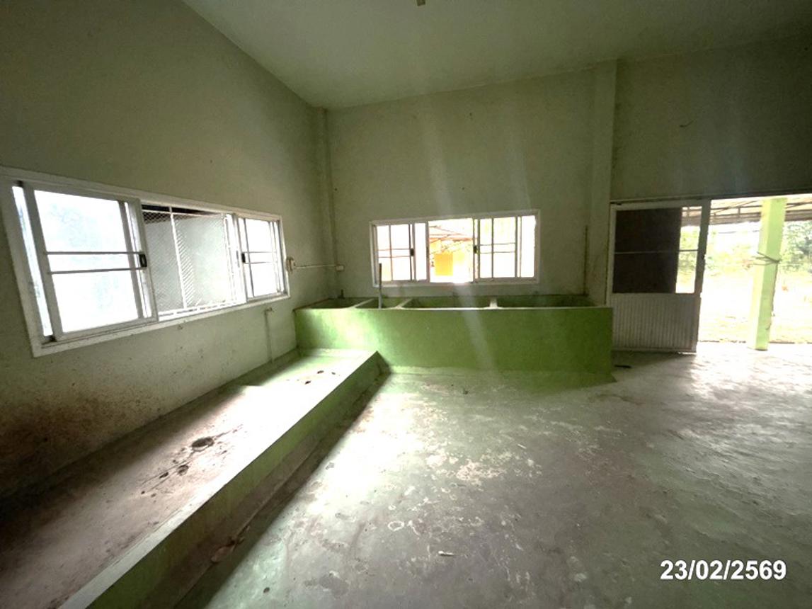 รูป บ้านเดี่ยว 493 ตร.วา ปักธงชัย นครราชสีมา 4.3M - รูปที่ 40/60