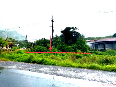 ที่ดิน ควนขนุน พัทลุง : ที่ดินว่างเปล่า 164 ตร.วา ควนขนุน พัทลุง 3M