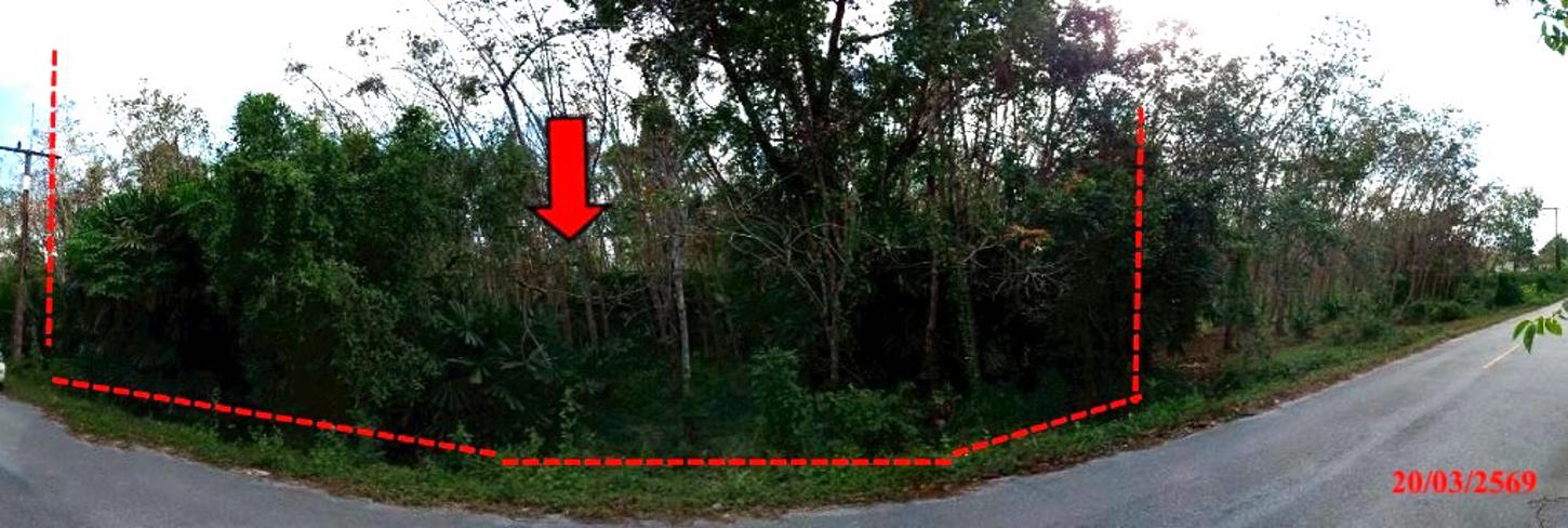 picture LAND 1467.4 Sq.w. Khok Pho Pattani for 1M - 6/14