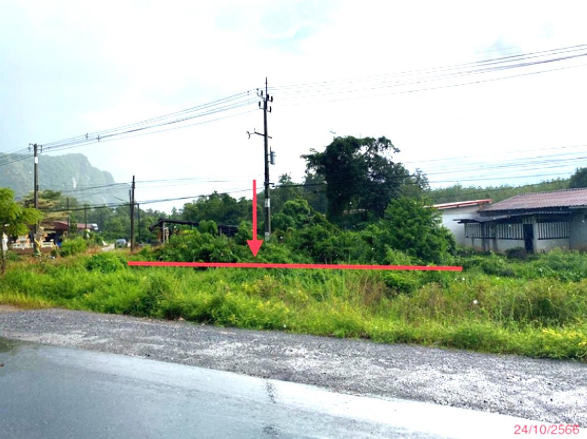 picture LAND 164 Sq.w. Khuan Khanun Phatthalung for 3M - 6/14