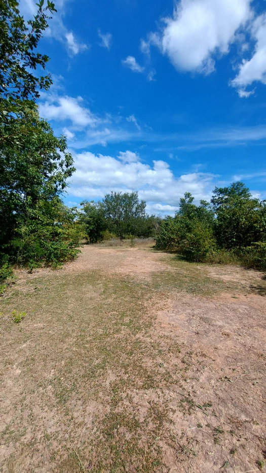 รูป ขายที่ดิน พร้อมโกดัง ห้องน้ำ 37ไร่1งาน19ตารางวา - รูปที่ 6/11