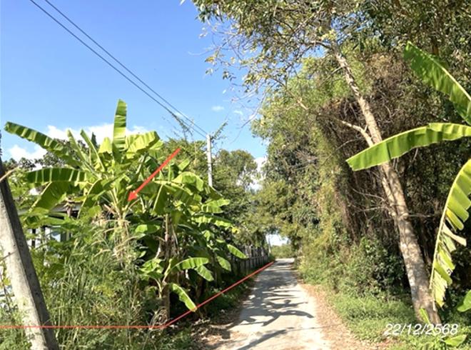 รูป บ้านเดี่ยว 558 ตร.วา บ้านนา นครนายก 4.9M - รูปที่ 12/28