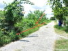 listing thumbnail image 5