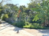 listing thumbnail image 19