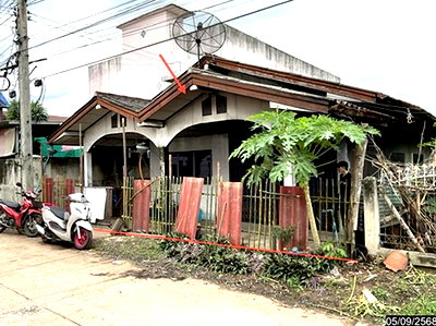 ขายบ้านเดี่ยว : บ้านเดี่ยว 62 ตร.วา ด่านขุนทด นครราชสีมา 529,000