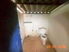 listing thumbnail image 41