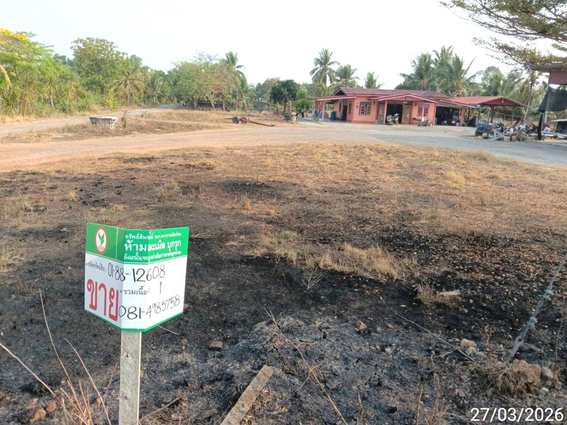 รูป ที่ดินว่างเปล่า 400 ตร.วา บางน้ำเปรี้ยว ฉะเชิงเทรา 1.7M - รูปที่ 10/14