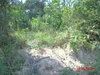 listing thumbnail image 16